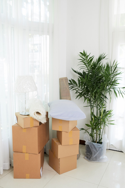 Moving boxes